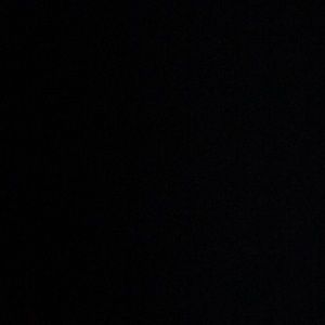 Meet your Posher, Donald